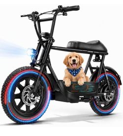 Caroma Electric Fat Tire Bike