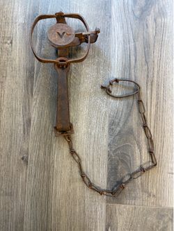 Vintage Victor Animal Trap With Chain