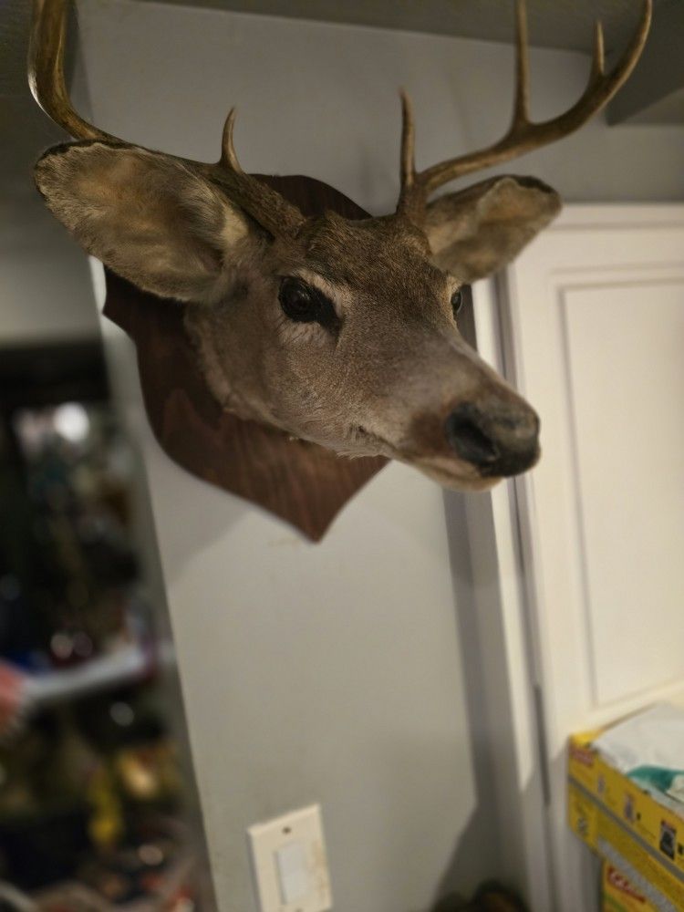 Deer Decoration
