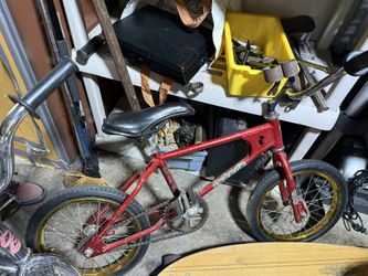 Four Mini Diamondback Vipers 