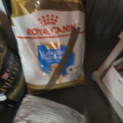 royal canin Labrador puppy 30lbs