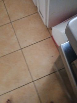 Stove