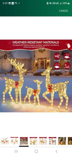 3 Piece Deer Outdoor Decoration