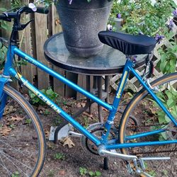 Bicycle 26