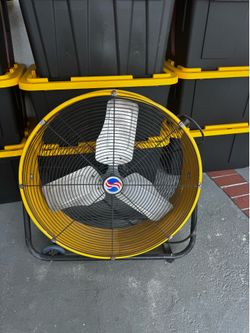 Fan