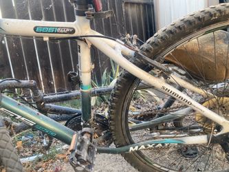 (2)Adult bikes