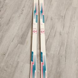 Kneissl Snow Skis
