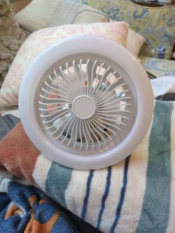 Light / fan