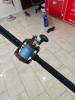 Avit reel with Rod