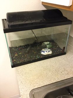 10 gallon fish tank with all needed
