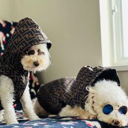 FF Dog Vest Jacket Apparel 