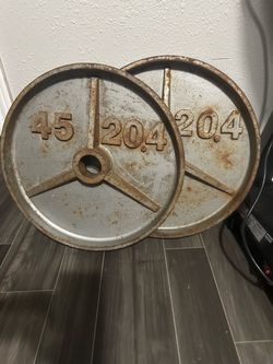 45 lb Olympic Weight Plates Pair