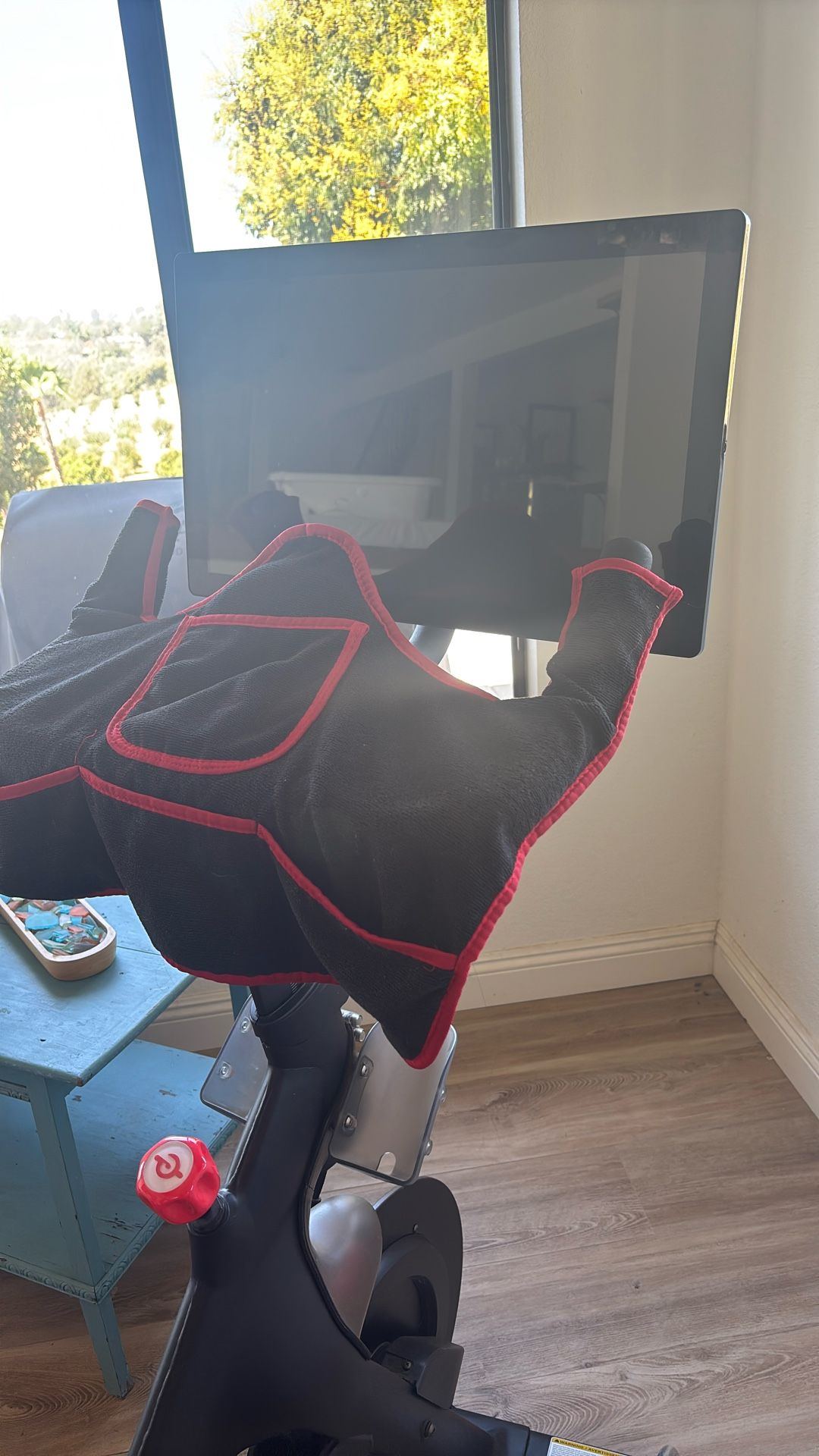 PELETON WITH WEIGHTS & SHOES