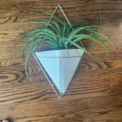 Planter Wall Decor White Gold