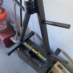 Golds Gold’s Gym Weight Plate Holder Rack