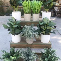 Home Decor Tabletop Potted Greenery/Grass Plants Bundle Of 10