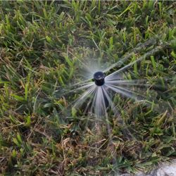 Sprinklerfor Sale Repair/install