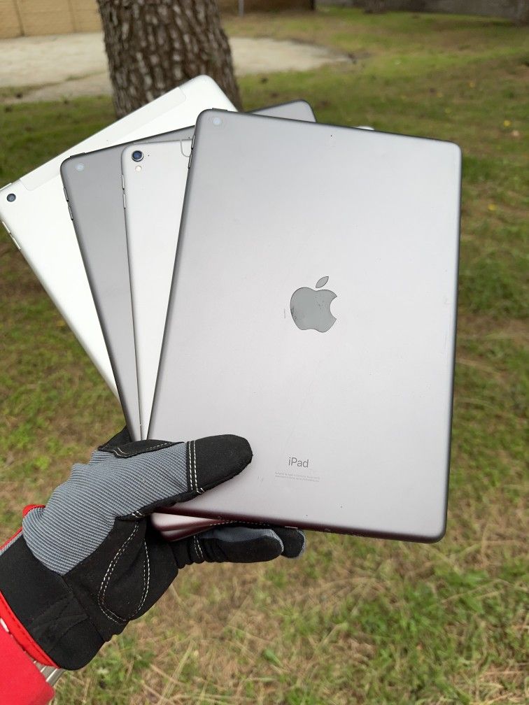 iPads 5 / 6 / 8 / Pro