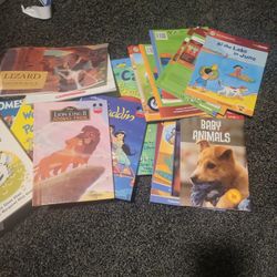 Kids Book Lot