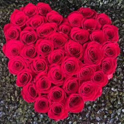 Roses 🌹 Arrangements