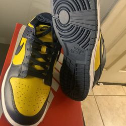 Jordan Nike Michigan Dunk 1 Size 10