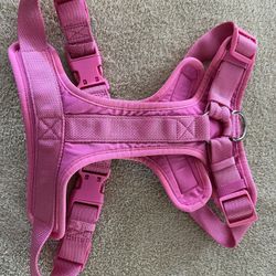 Large Dog Harness And Leash 