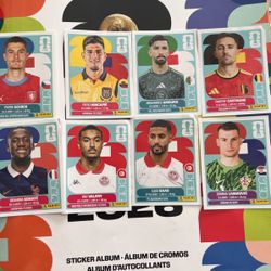 FIFA PANINI STICKER