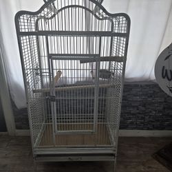 Bird Cage 