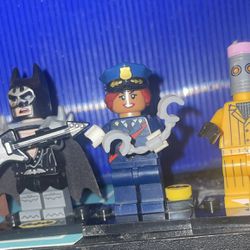 Lego Batman Movie Minifigures!! 