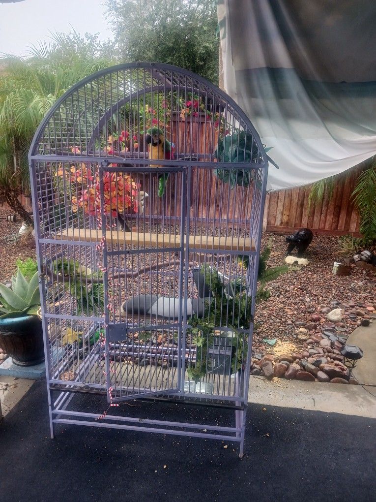 Large Bird Cage