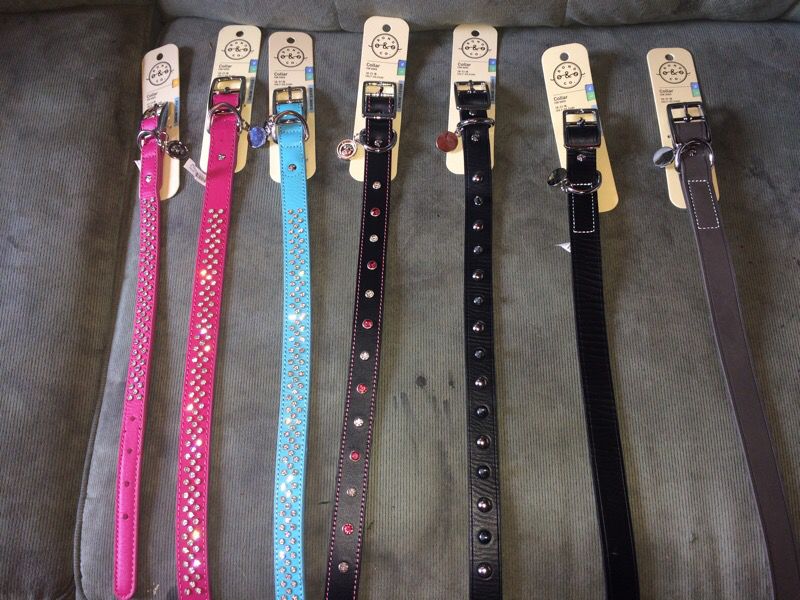 Dog collars with jewels