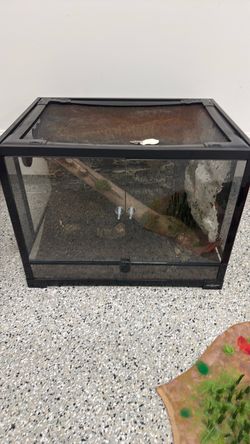 Glass Reptile Terrarium with Screen Top