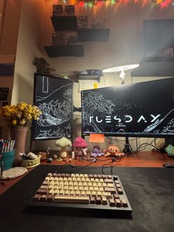 PC + 2 monitors + keyboard + mouse + mic