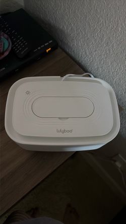 Wipe warmer