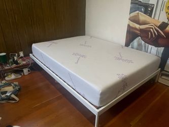 Brand New Queen sized bed and IKEA Metal Bedframe *NEED GONE ASAP*