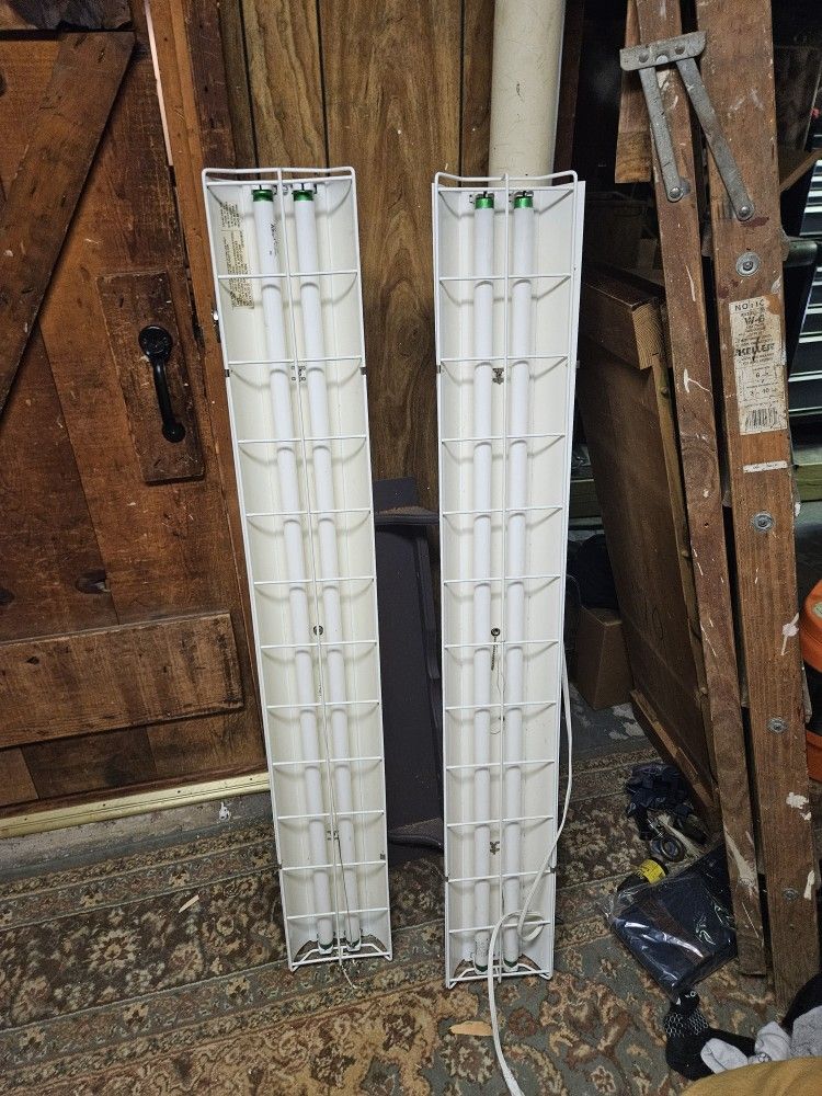 Florescent Lights (Set Of 2) 