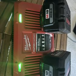 Milwaukee M18 /6.0 And 8.0 Batteries Plus Rapid Dual Charger