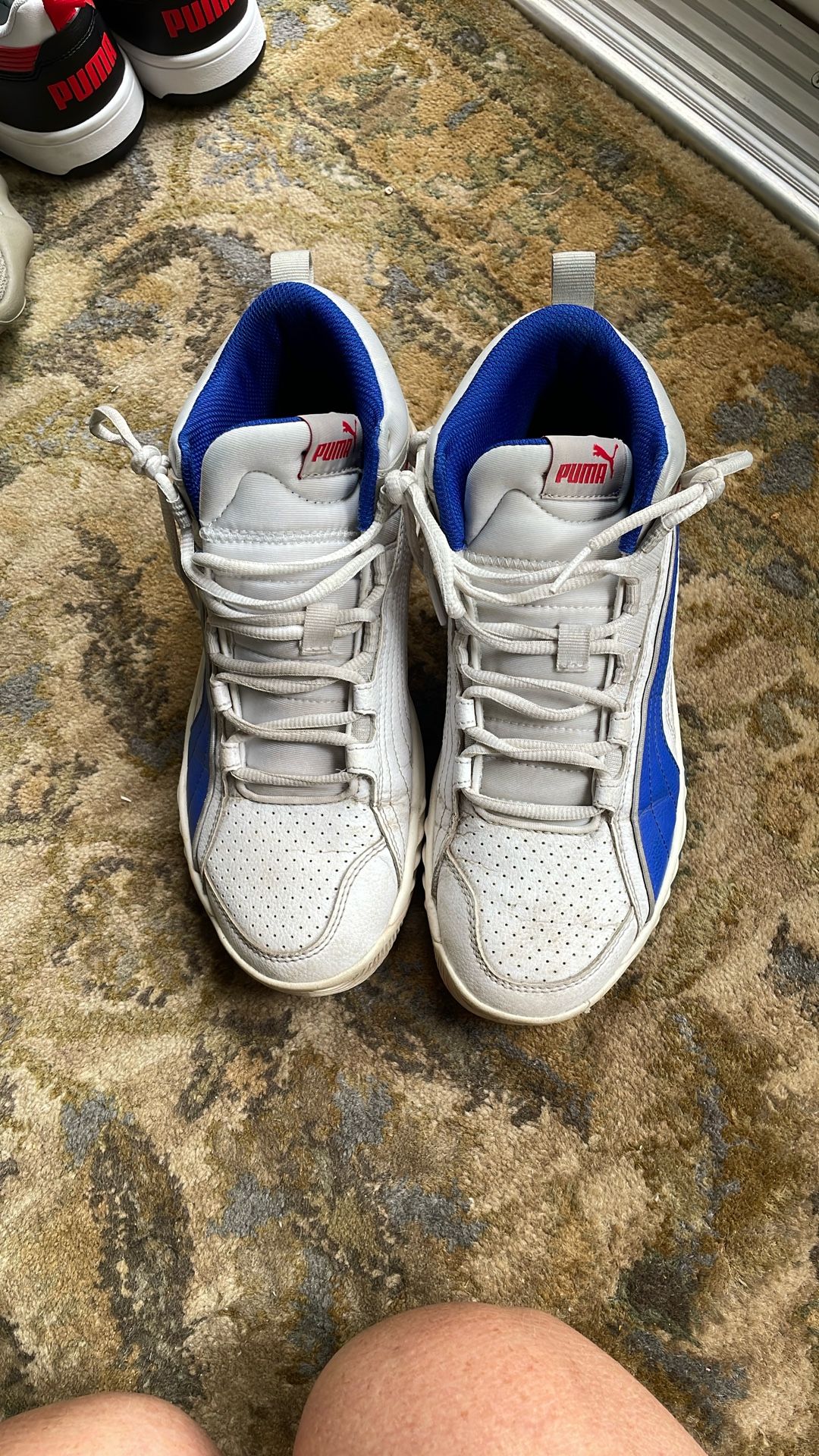 Puma 8.5 Sneakers