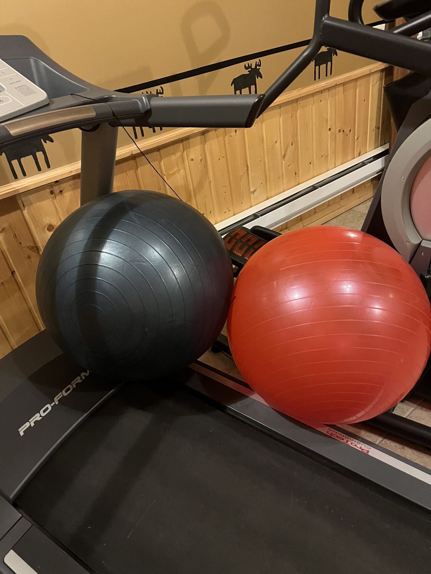 Exercise Balls 