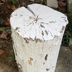 rare white rustic stump 