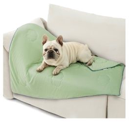 Lesure Cooling Blanket 40x50 Brand new in box #cooling #sleep Light green. New in the box It’s great gift