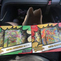 Mega Meganium ex box & Mega Emboar Ex Box !