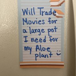 I Need A Large Plant Pot For My Aloe Plant