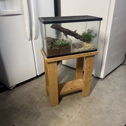 Frog terrarium