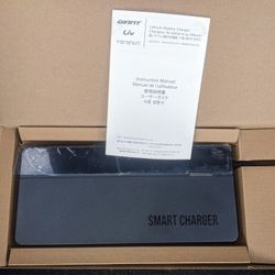 New Giant Ebike 6 Amp Smart Charger 