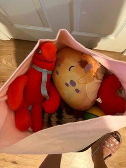 Bag of stuffies
