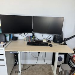 Electric Standing Desk 