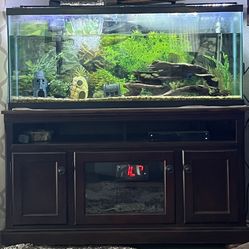 FISH TANK -90 Gallons -with SPONGE BOB Decorations 