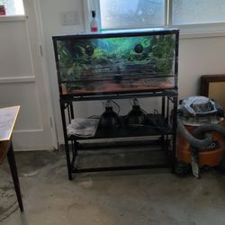 Bearded Dragon Set Terrarium Up. Over $450 Worth And Almost New