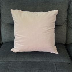 Newish Couch Pillow 